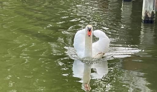 025-465670-IMG_4805_13405852