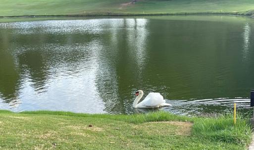 024-465670-IMG_4808_13405853