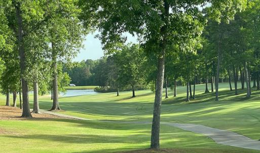 009-465670-IMG_4788_13405832