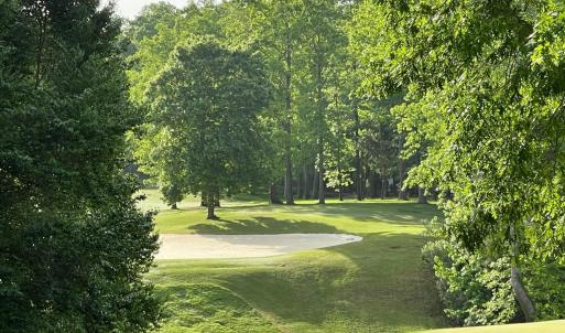 007-465670-IMG_4770_13405778