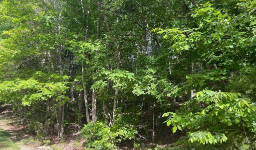 006-465670-IMG_4825_13405875