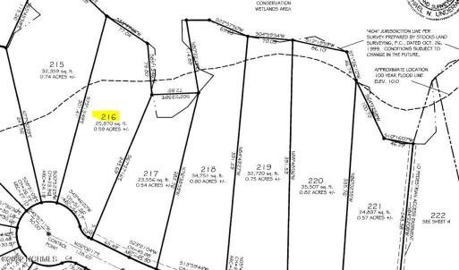 plat map - lot 216
