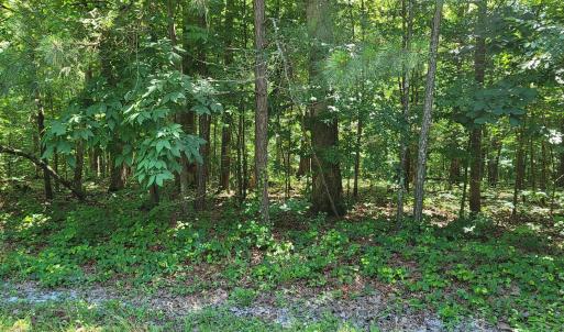 20240528_152848_resized