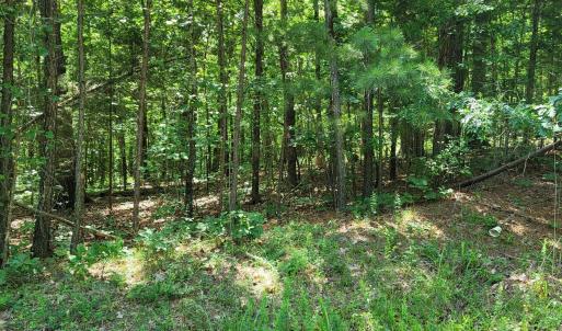 20240528_153123_resized