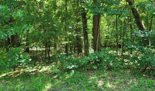 20240528_153127_resized
