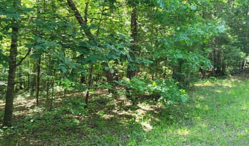 20240528_153303_resized