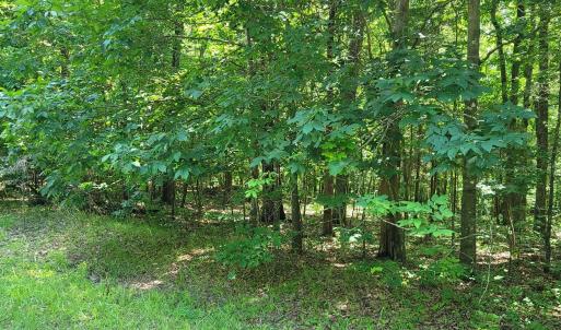 20240528_153314_resized