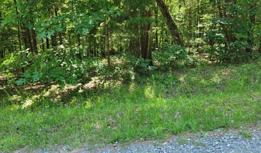 20240528_153536_resized_1