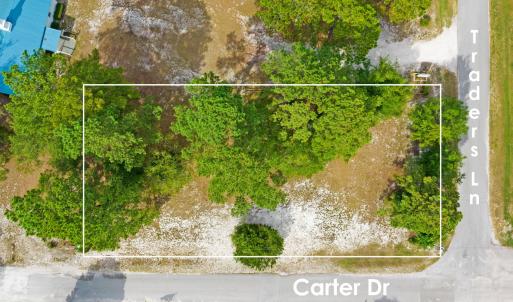 Carter Drive 2