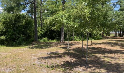 Partially Cleared