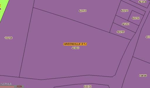 Greenville ETJ