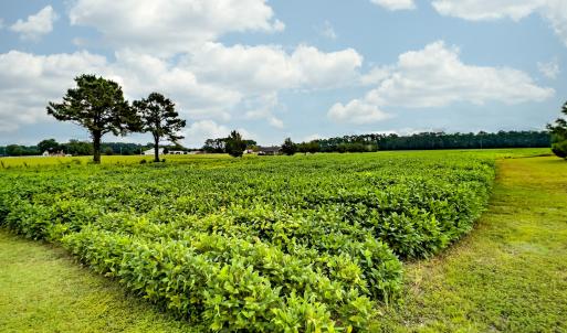 N/A Parkertown Road, Hubert, NC 28539