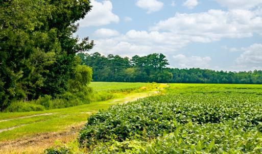 N/A Parkertown Road, Hubert, NC 28539