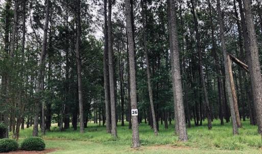 Lot 26.2