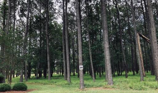 Lot 26.2