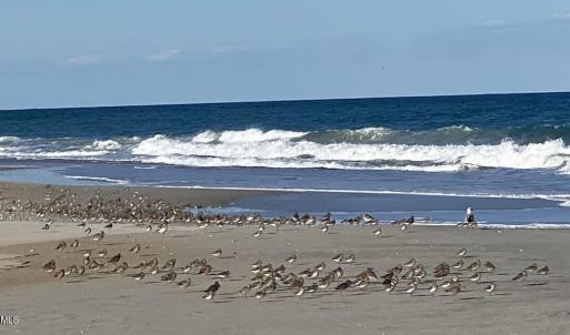 Oak Island Beach