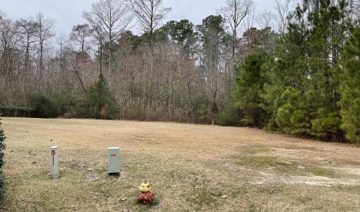 Lot25