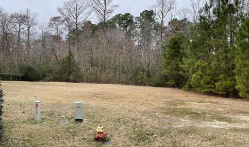 Lot25