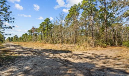 9-web-or-mls-DSC08709