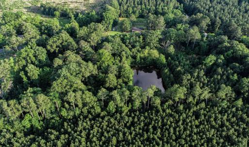 DJI_0935