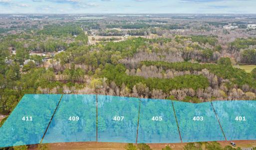 Lot 401-411_0316