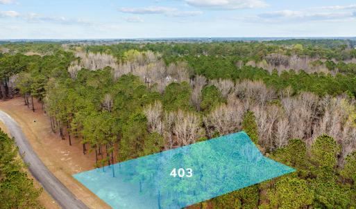 Lot 403_0336