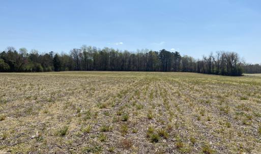 000 Poore Farm Road - 4