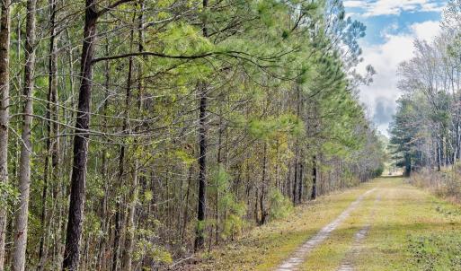 4-web-or-mls-5839 Sidbury Rd-104