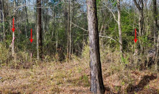 6-web-or-mls-5839 Sidbury Rd-106
