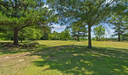 15-web-or-mls-DSC00383