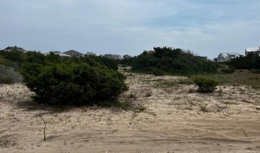 4 Sandspur-2