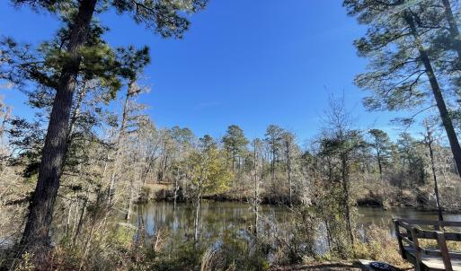 Creek View