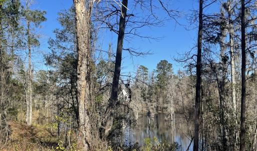 Creek View