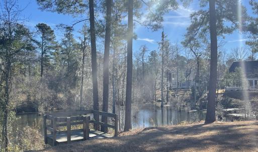 Creek View