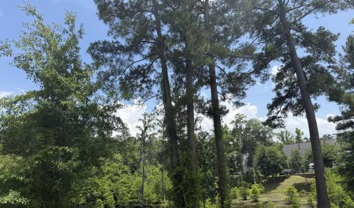 Creek View