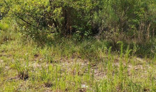 IMG_20240626_095816212_HDR