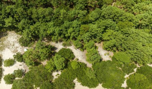 6-web-or-mls-DJI_0539