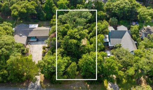 149 Arborviate--Aerial 2