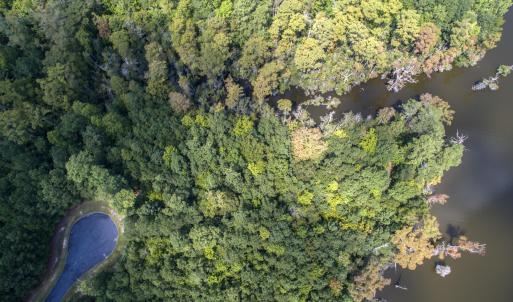 DJI_0012a