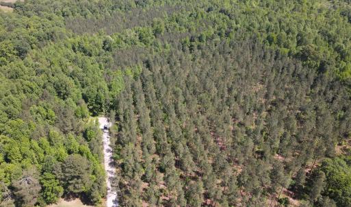 DJI_0044