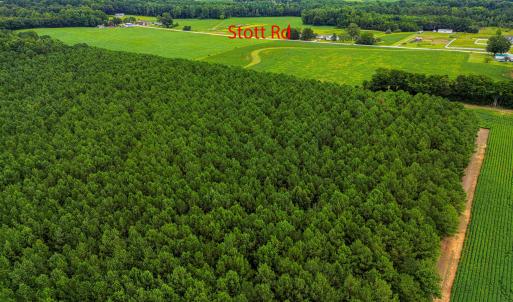 DJI_0204_pro