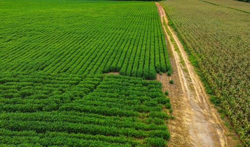 DJI_0208_pro