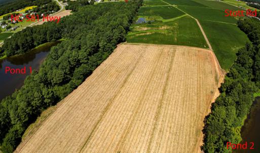 DJI_0261_pro