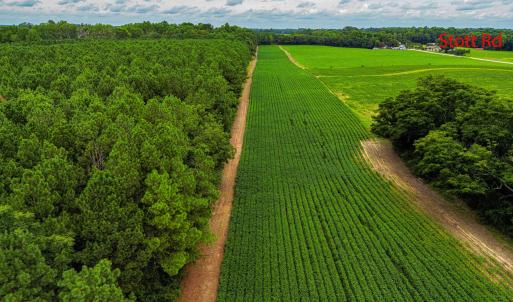 DJI_0223_pro