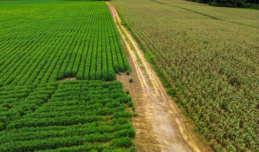 DJI_0212_pro