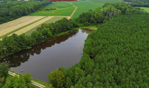 DJI_0202_pro