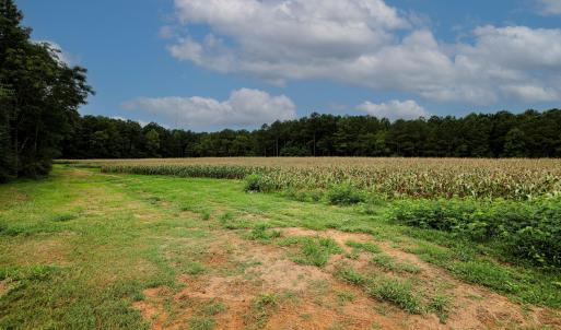 HN9A0121_pro2