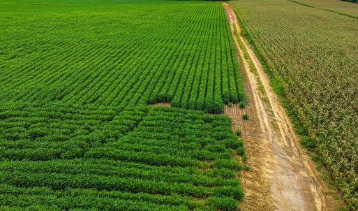 DJI_0208_pro
