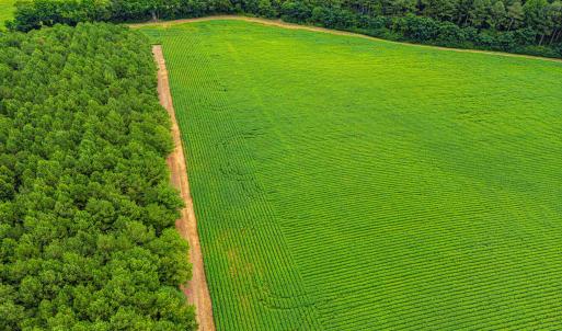 DJI_0205_pro