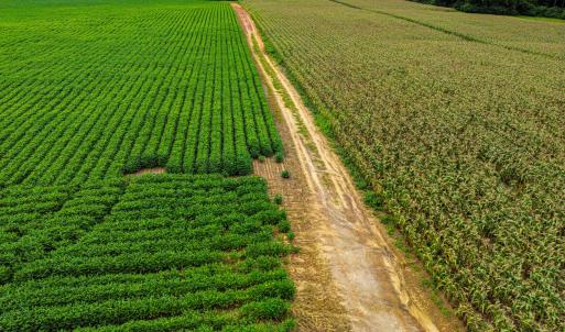 DJI_0212_pro